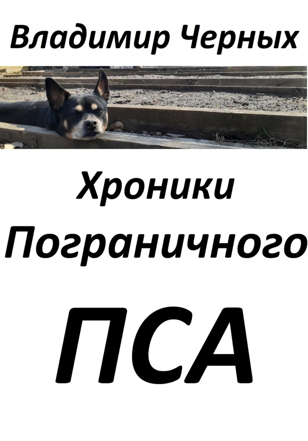 Обложка книги «Хроники Пограничного Пса»