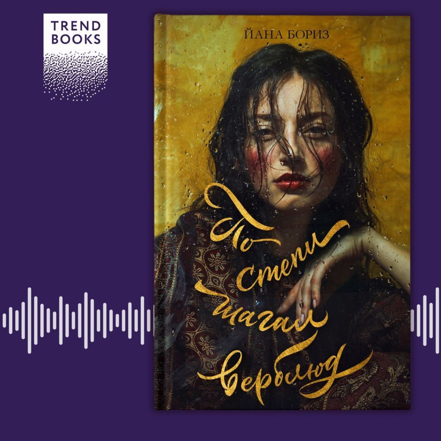 Обложка книги «По степи шагал верблюд»