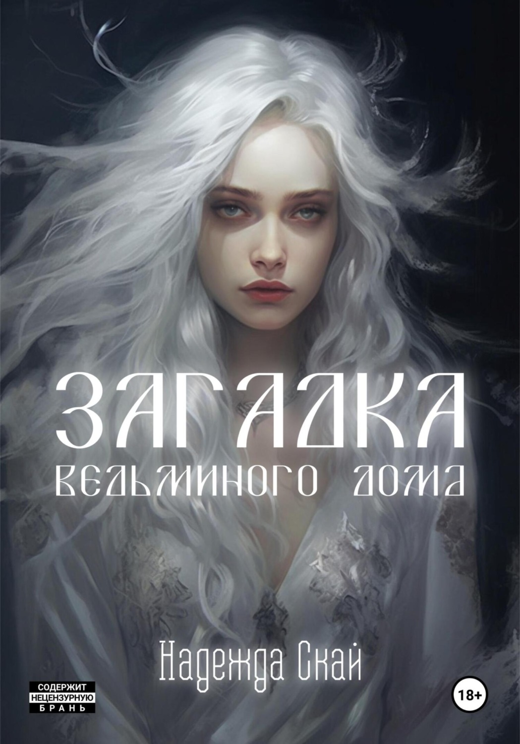 Обложка книги «Загадка ведьминого дома»