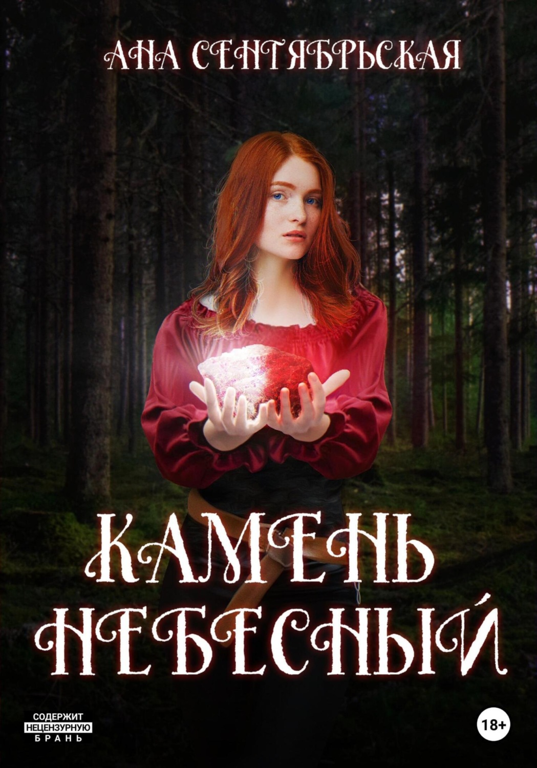 Обложка книги «Камень Небесный»