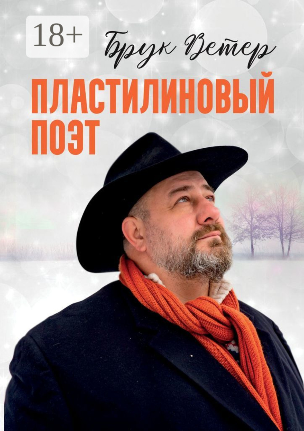Обложка книги «Пластилиновый поэт»