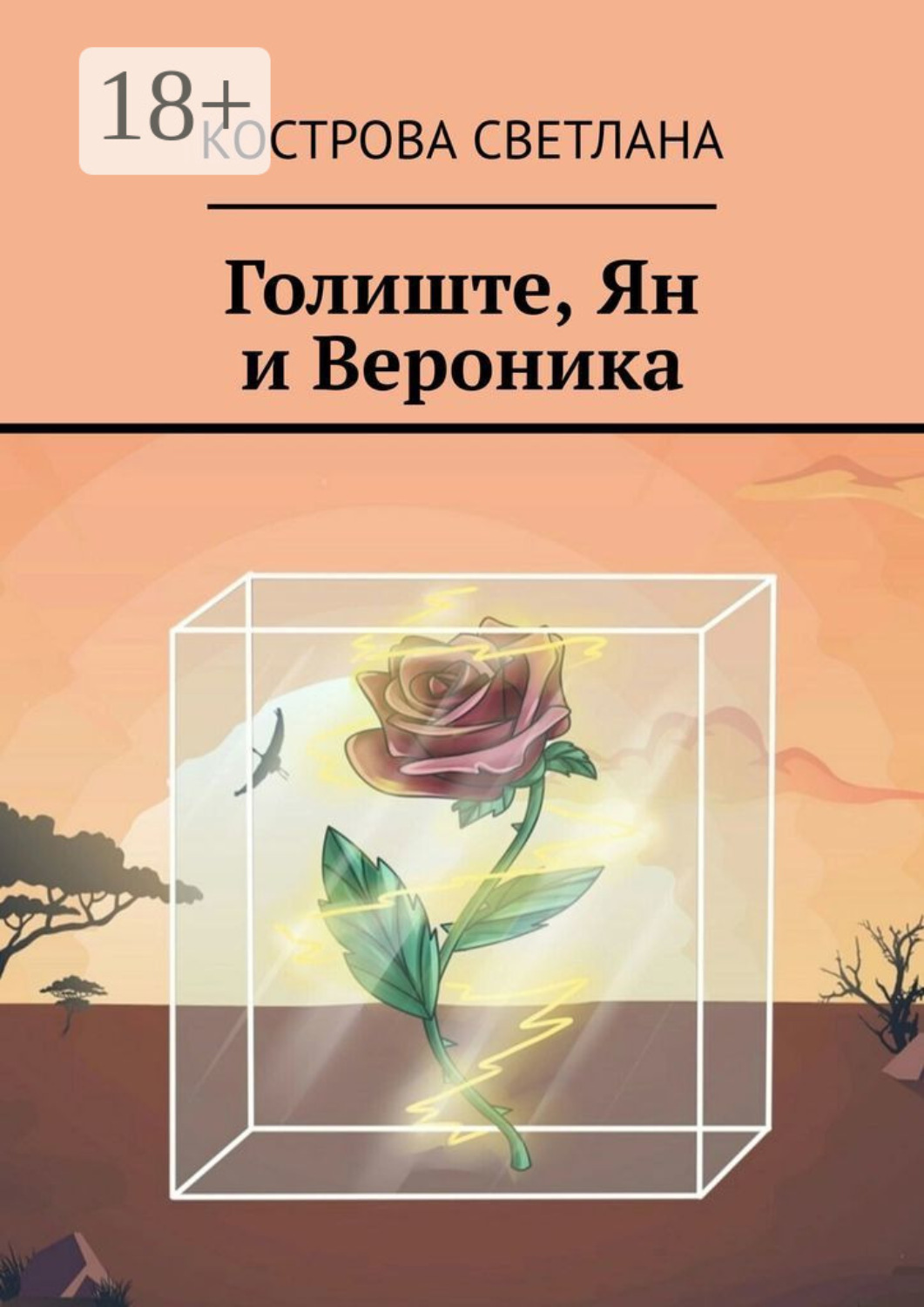 Обложка книги «Голиште, Ян и Вероника»