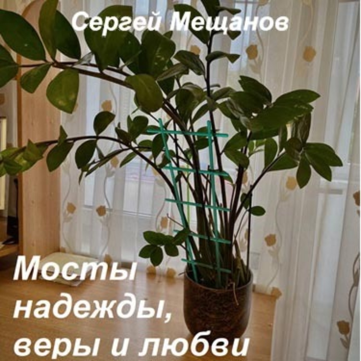 Обложка книги «Мосты надежды, веры и любви»