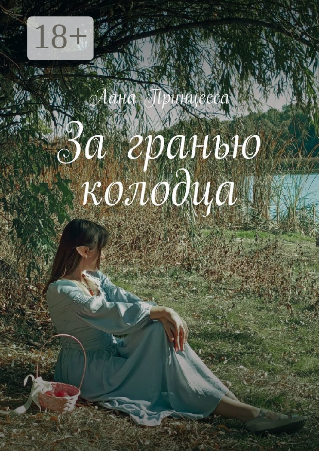 Обложка книги «За гранью колодца»