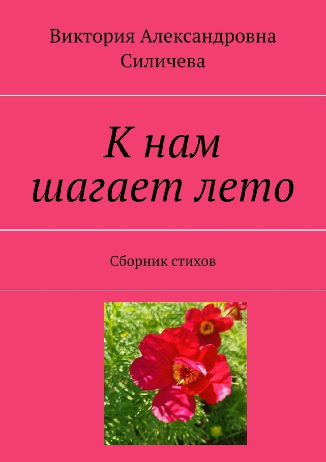Обложка книги «К нам шагает лето. Сборник стихов»