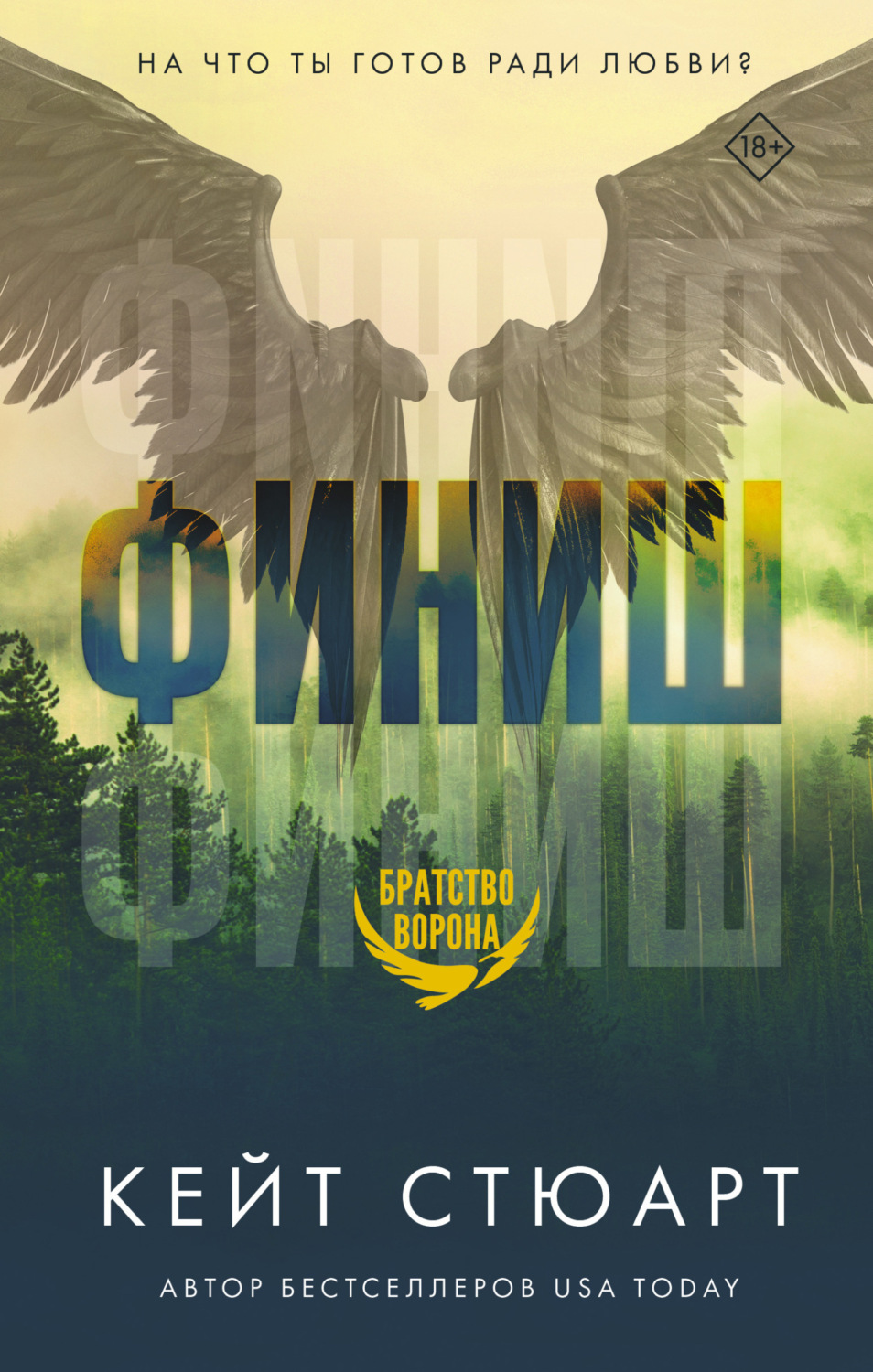 Обложка книги «Финиш»