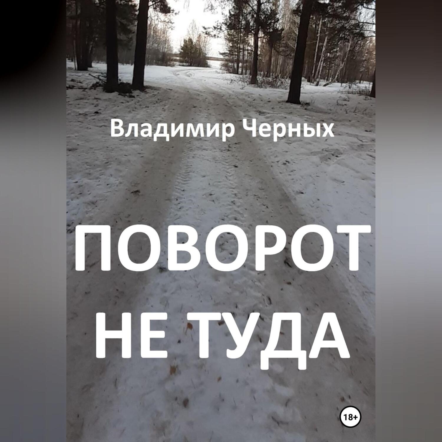 Обложка книги «Поворот не туда»