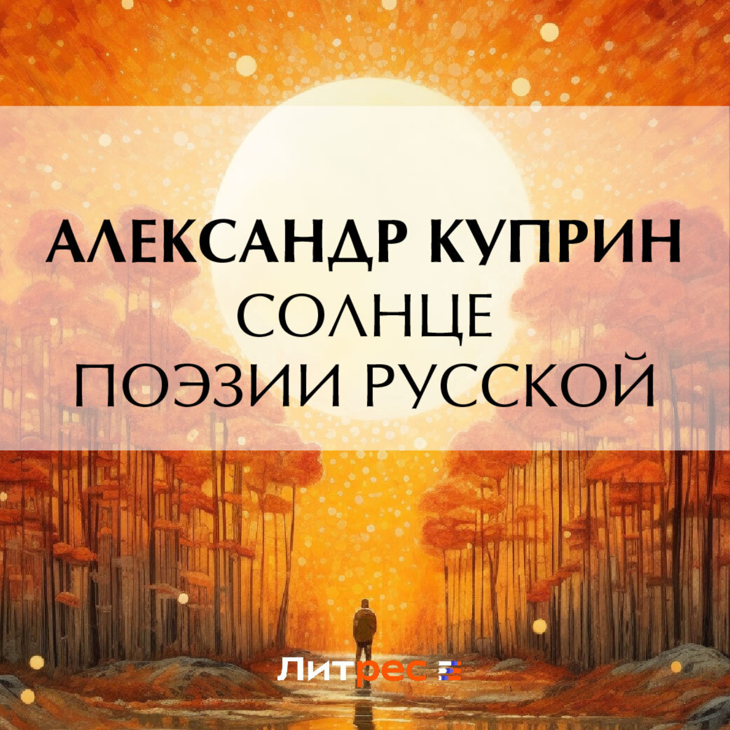 Обложка книги «Солнце поэзии русской»