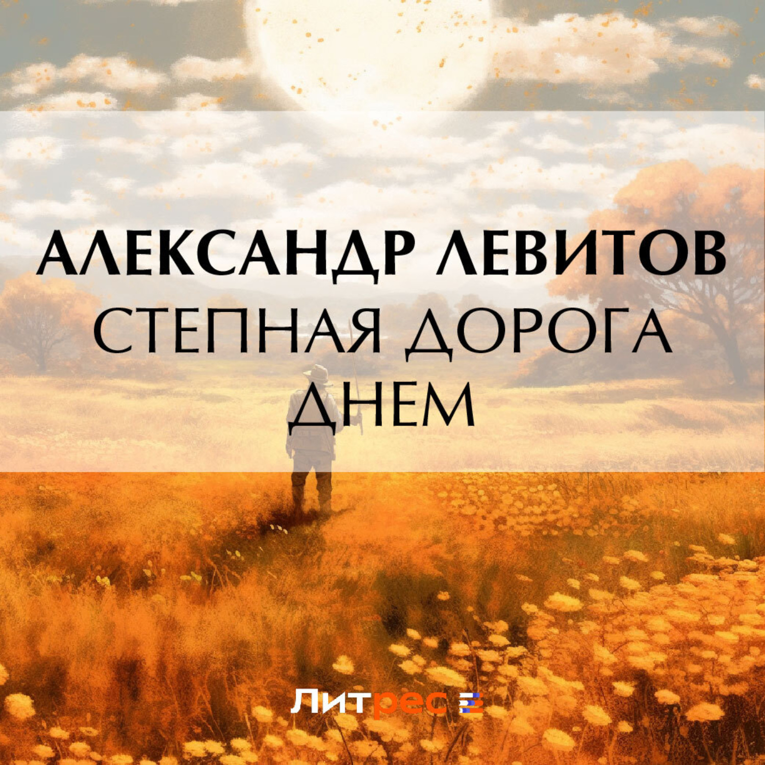 Обложка книги «Степная дорога днем»