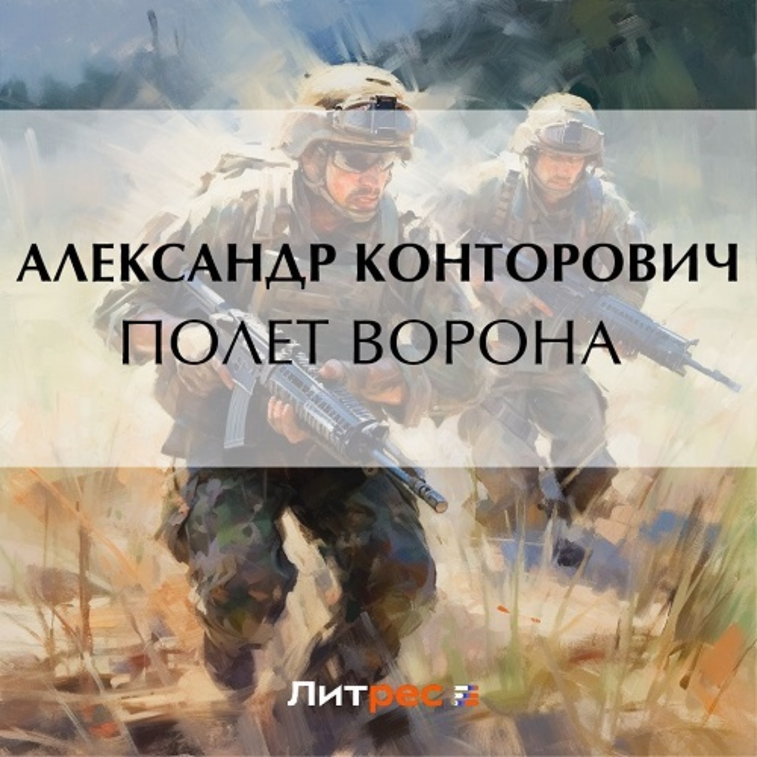 Обложка книги «Полет ворона»