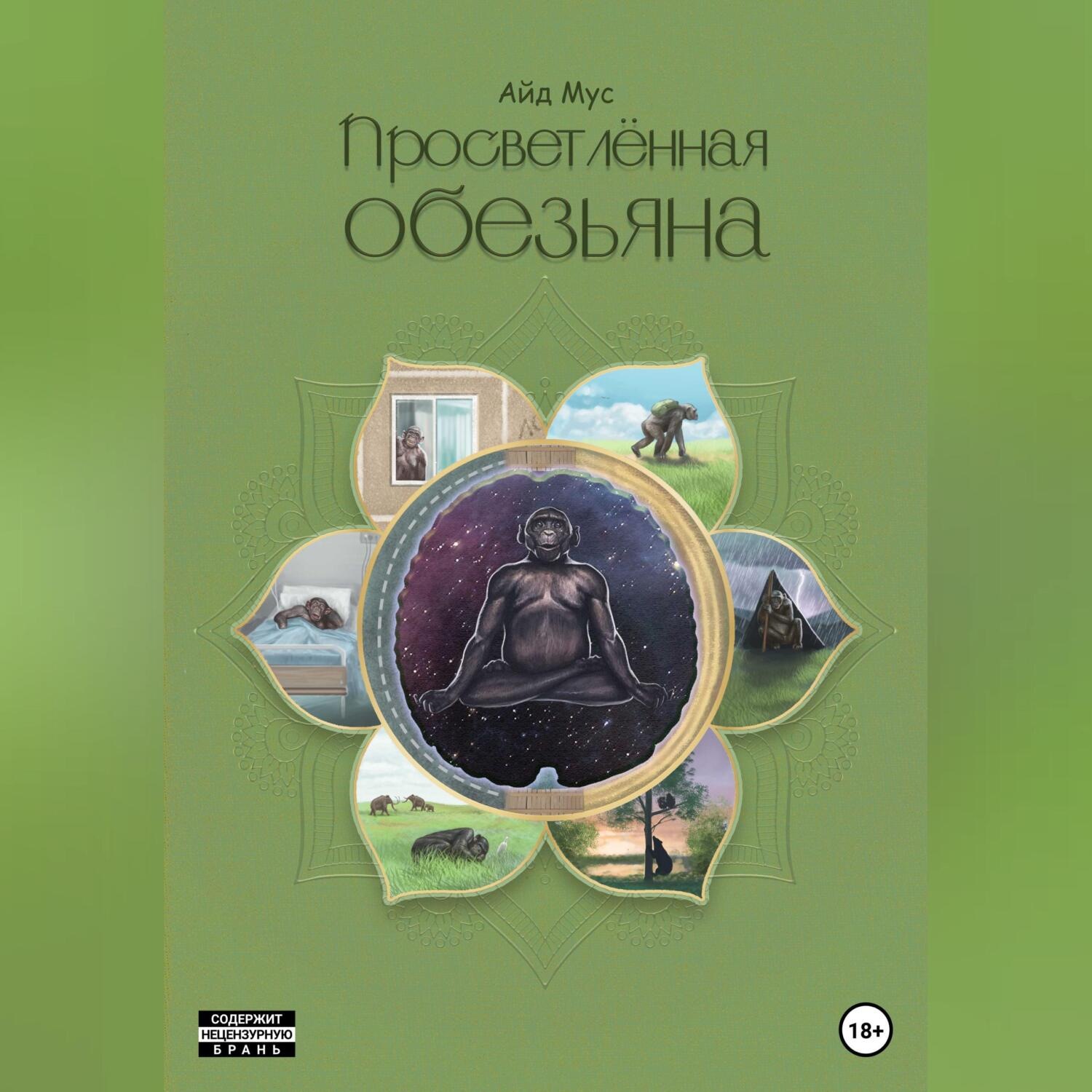 Обложка книги «Просветлённая обезьяна»