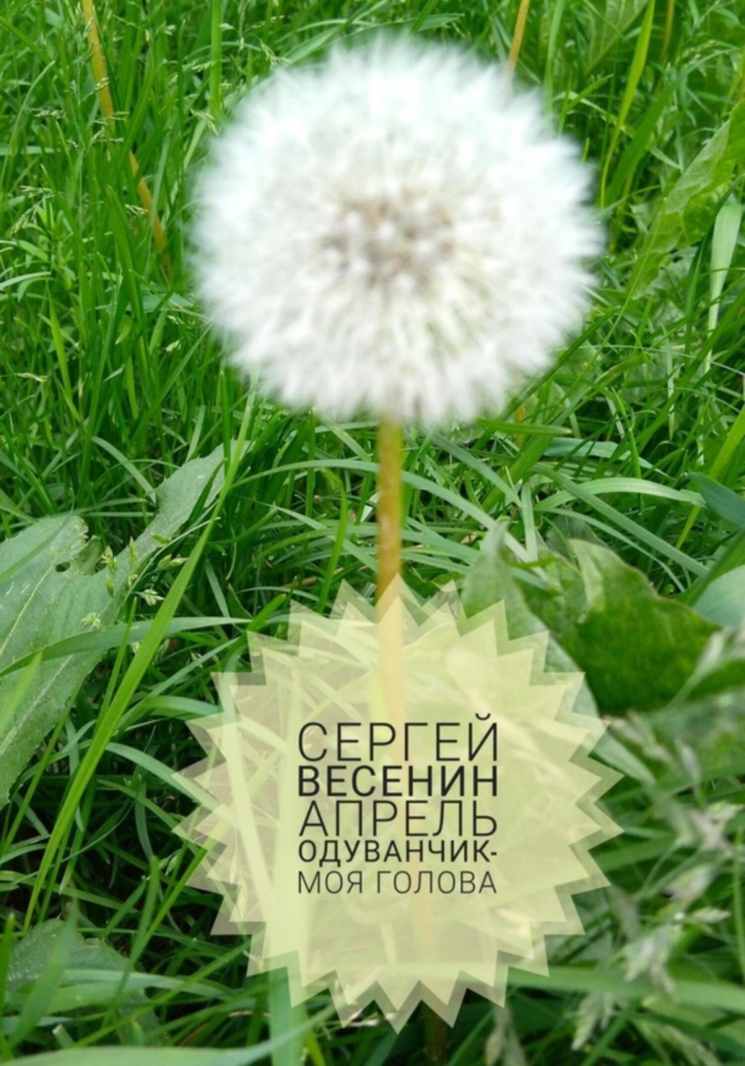 Обложка книги «Апрель. Одуванчик – моя голова»