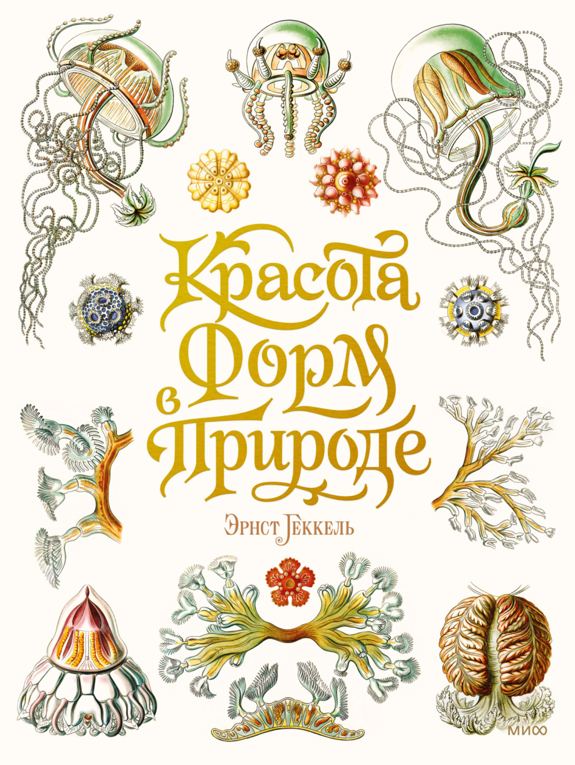 Обложка книги «Красота форм в природе»