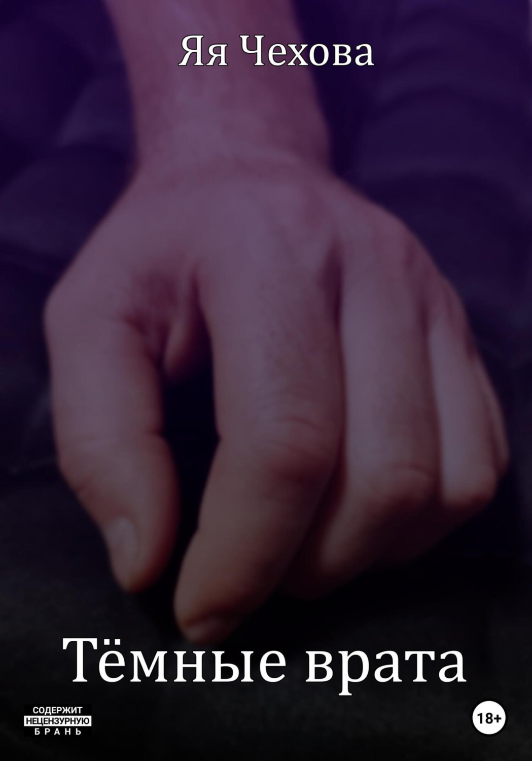Обложка книги «Темные врата»