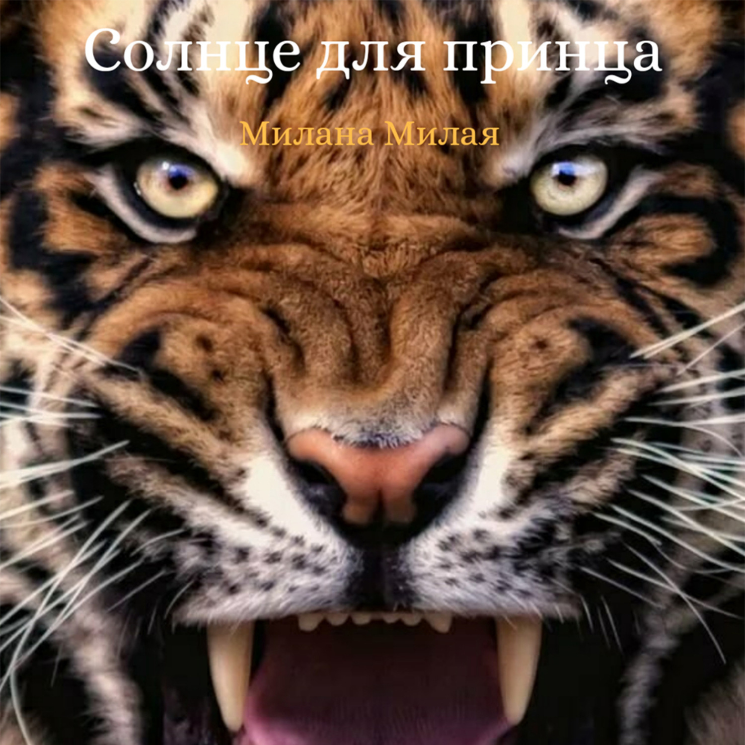 Обложка книги «Солнце для принца»