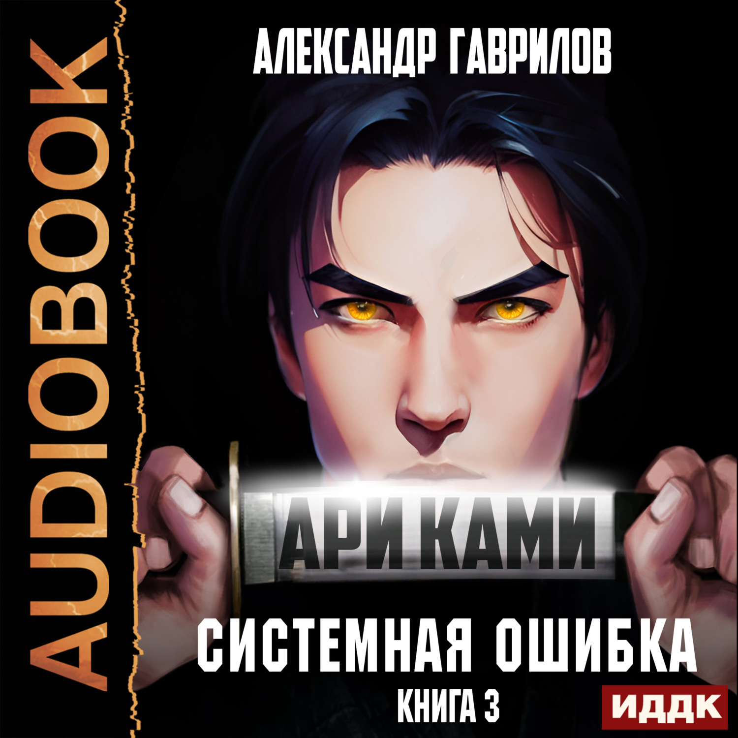 Обложка книги «Ари Ками. Книга 3. Системная ошибка»