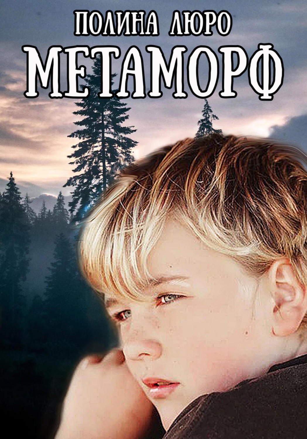 Обложка книги «Метаморф»