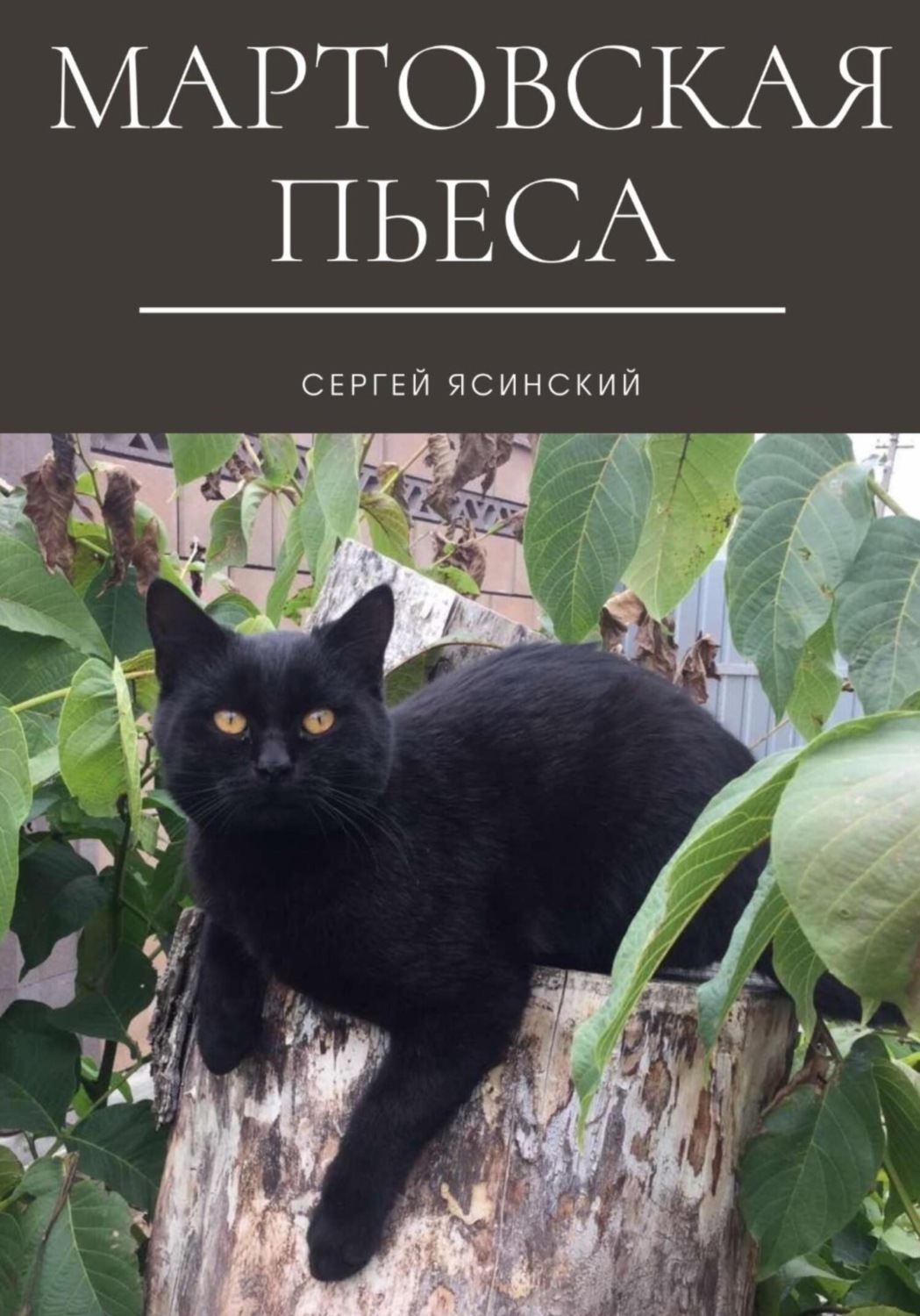 Обложка книги «Мартовская пьеса»