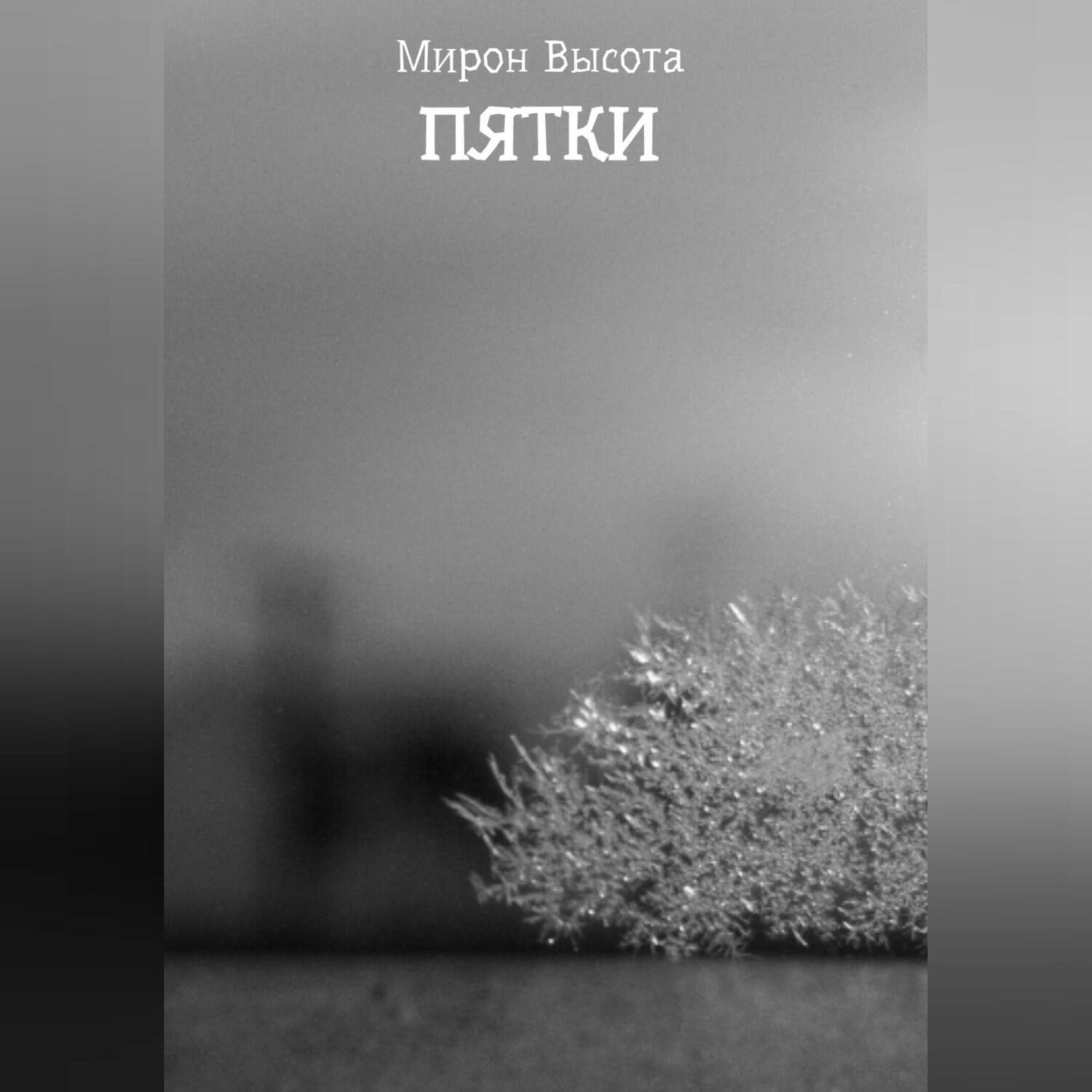 Обложка книги «Пятки»