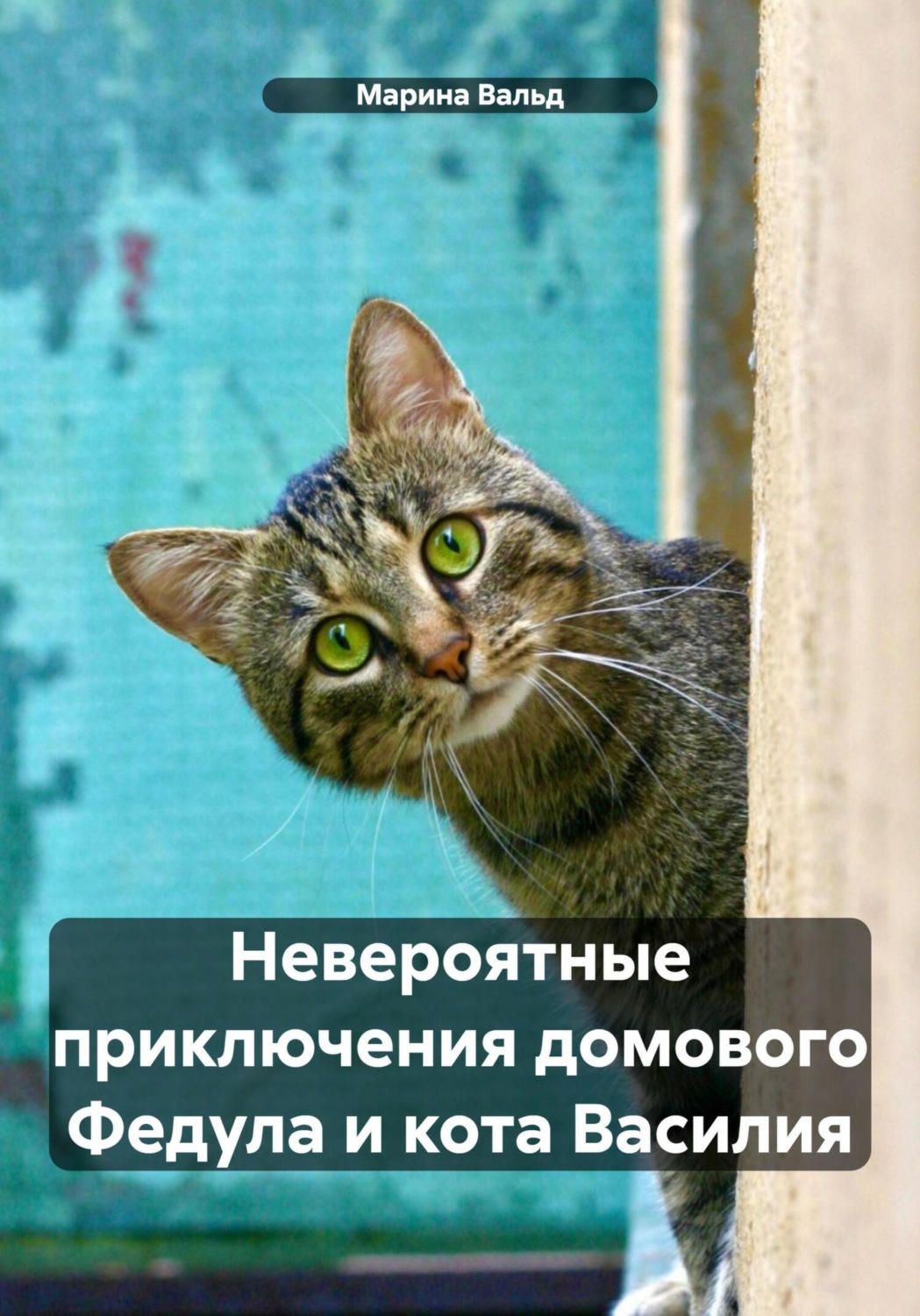 Обложка книги «Невероятные приключения домового Федула и кота Василия»