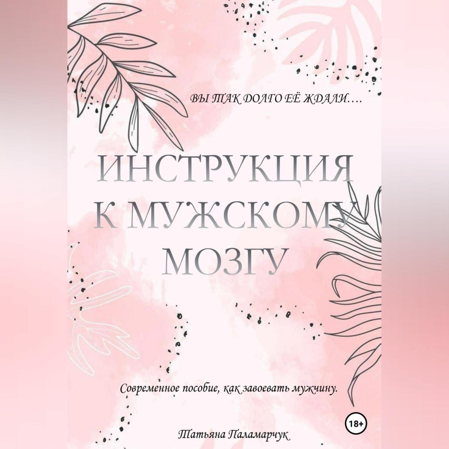 Обложка книги «Инструкция к мужскому мозгу»