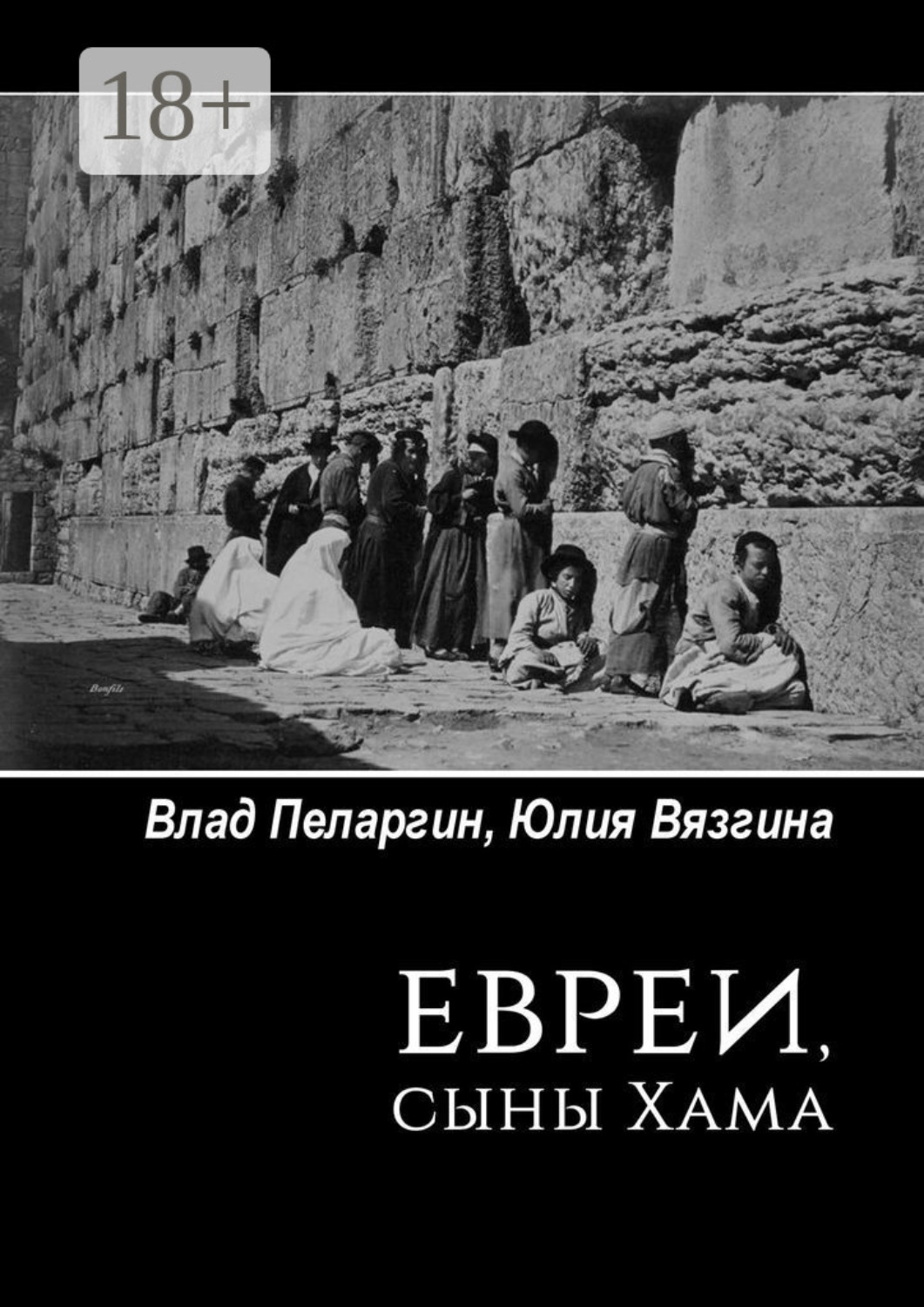 Обложка книги «Евреи, сыны Хама»