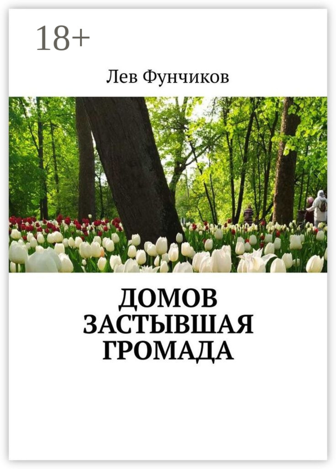 Обложка книги «Домов застывшая громада»