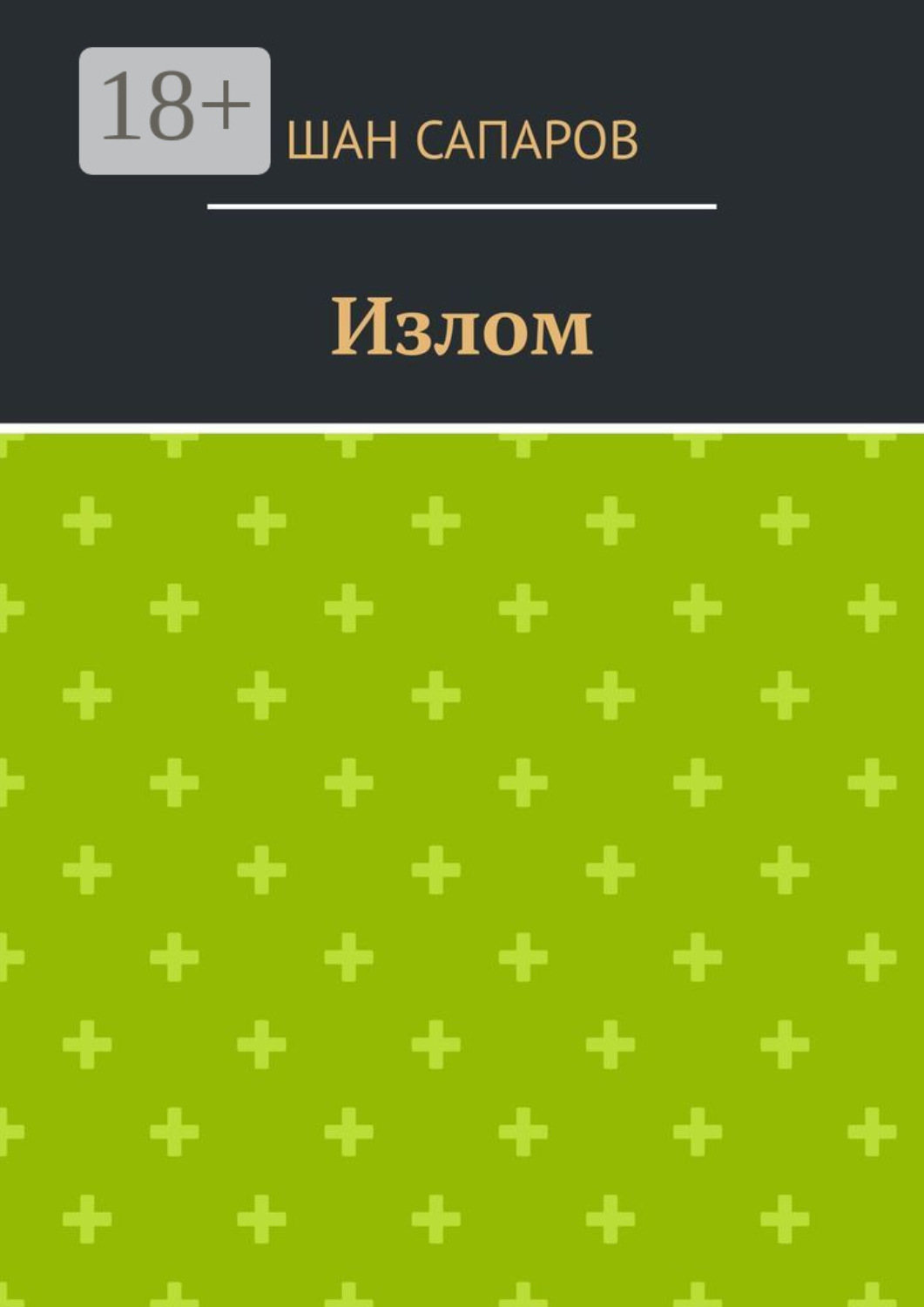 Обложка книги «Излом»