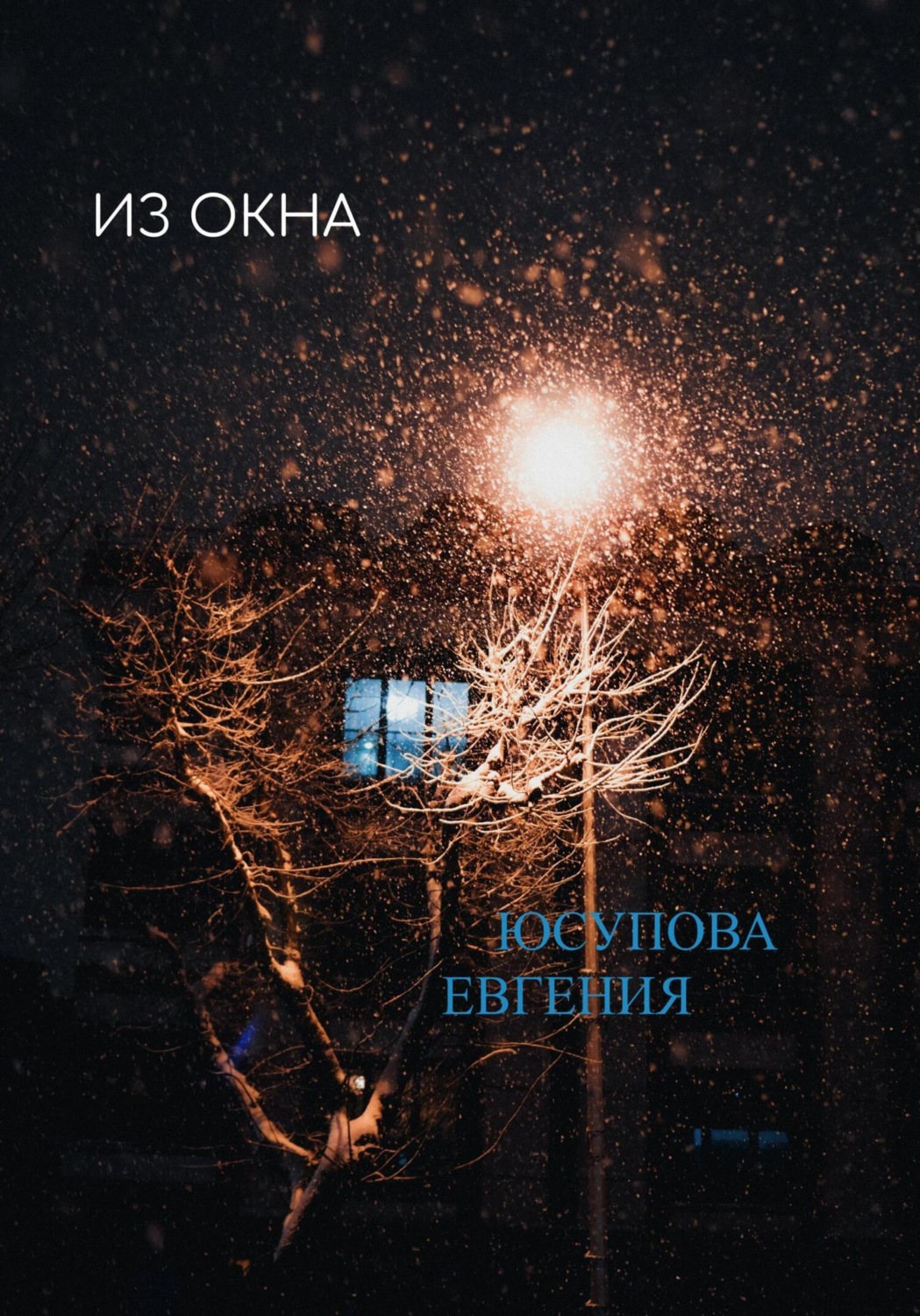 Обложка книги «Из окна»