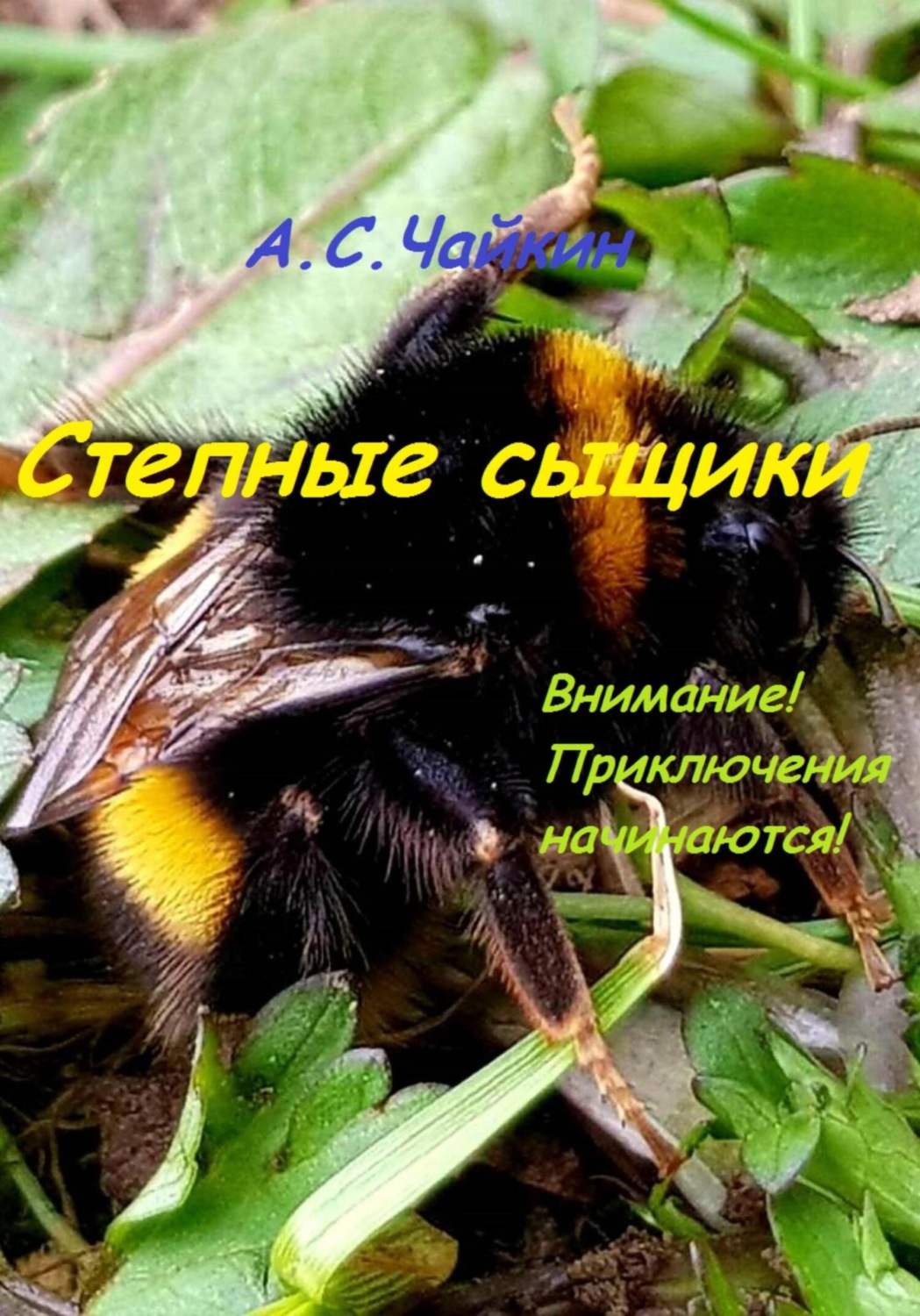 Обложка книги «Степные сыщики»