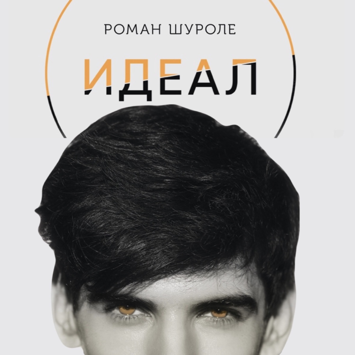 Обложка книги «Идеал»