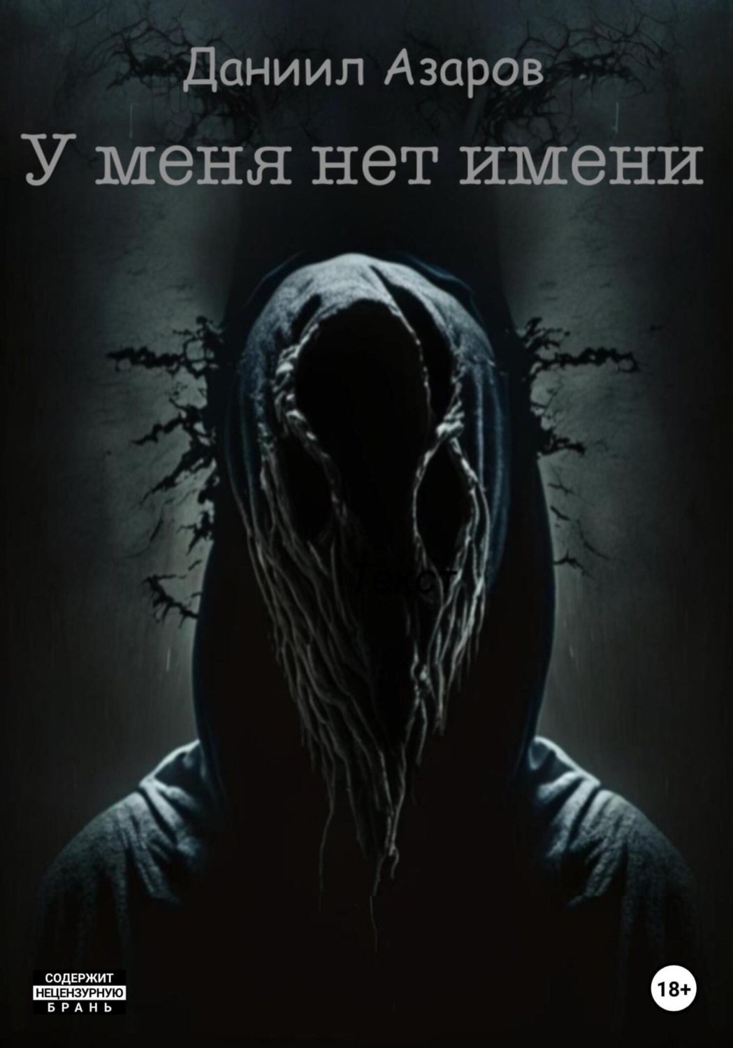 Обложка книги «У меня нет имени»