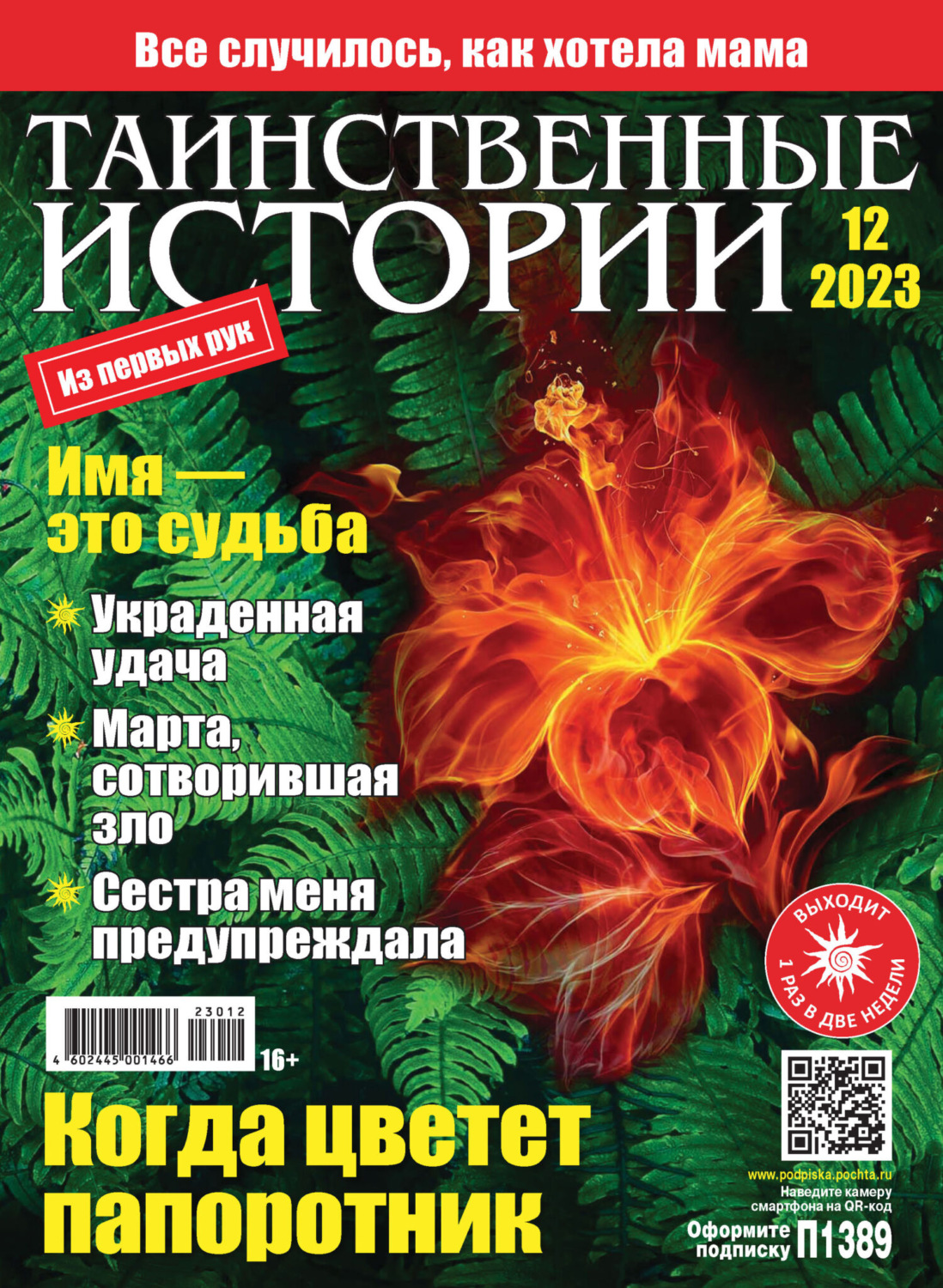 Обложка книги «Таинственные истории №12/2023»