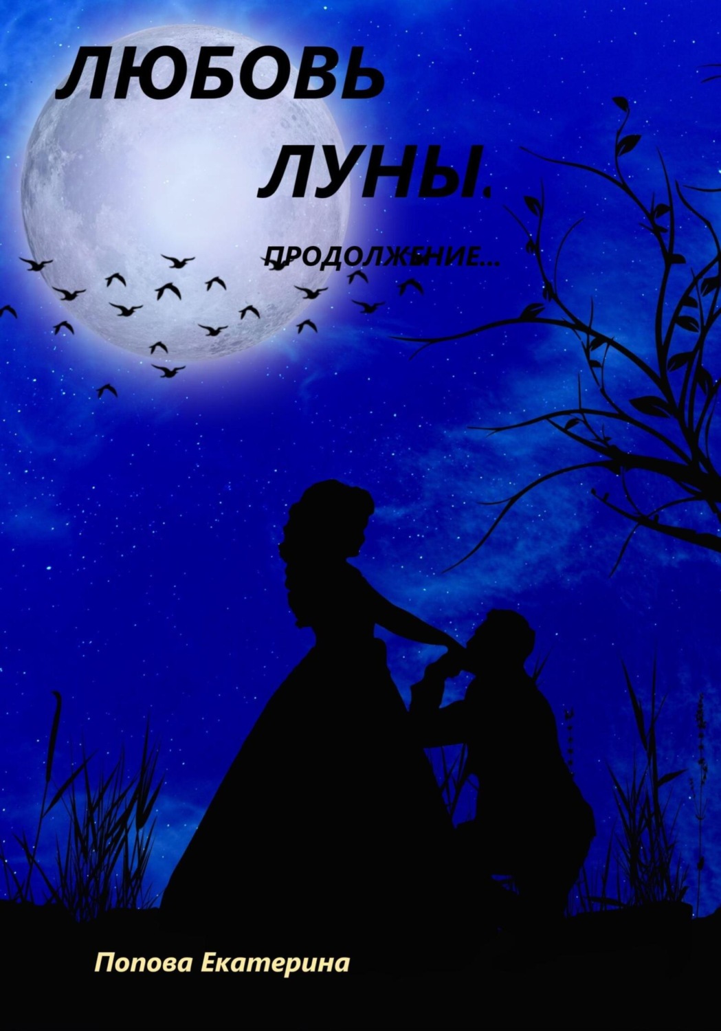 Обложка книги «Любовь луны. Продолжение…»