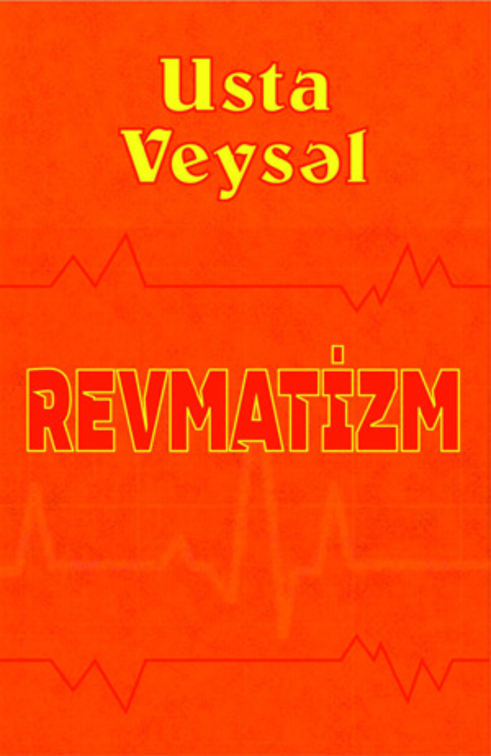 Обложка книги «Revmatizm»