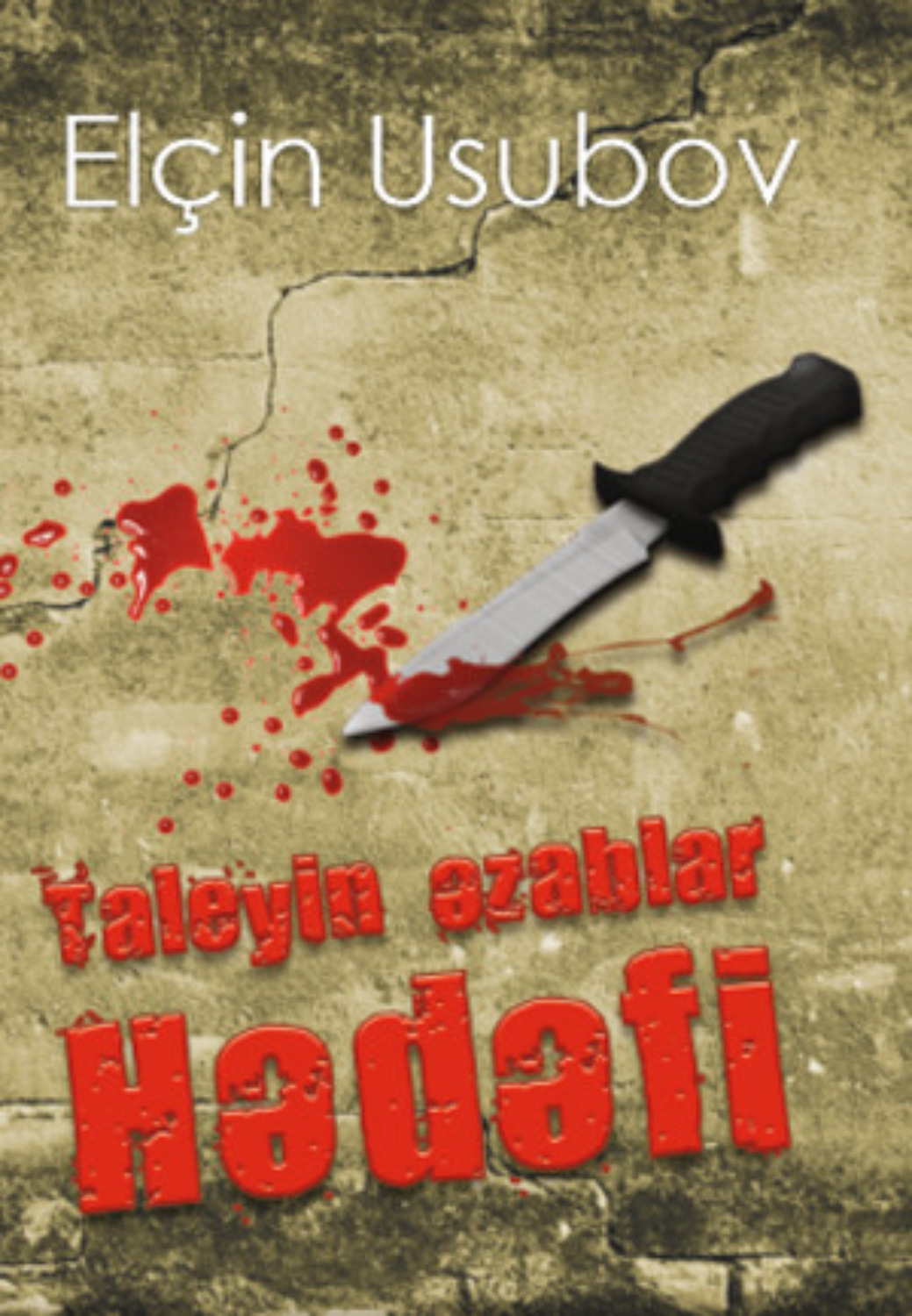 Обложка книги «Taleyin əzablar hədəfi»