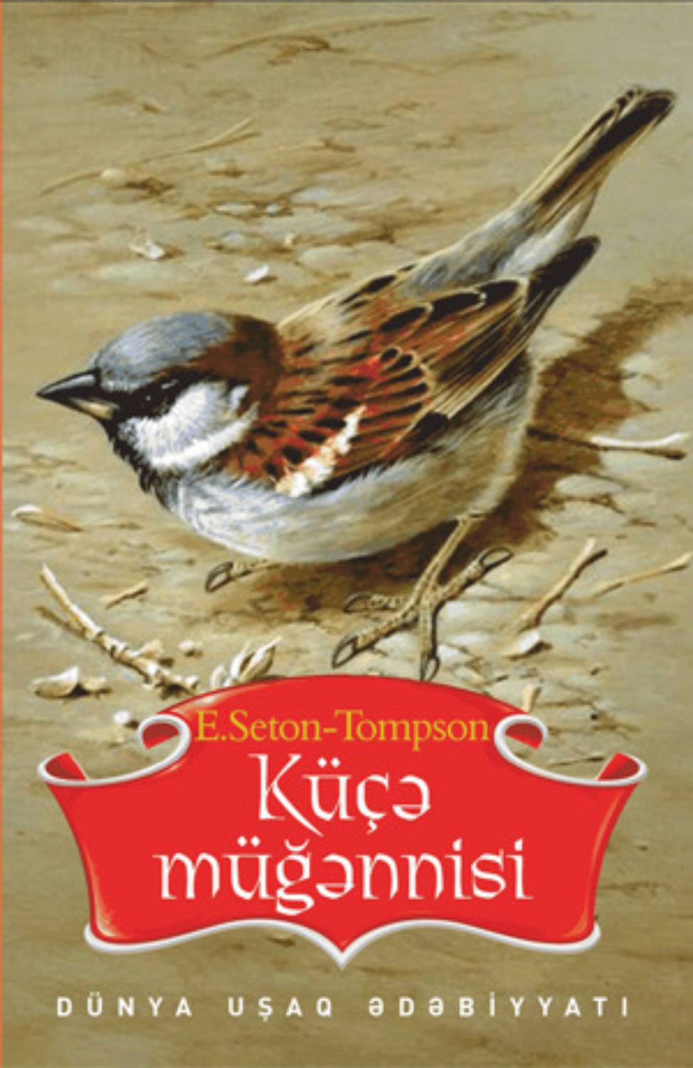 Обложка книги «KÜÇƏ MÜĞƏNNİSİ»