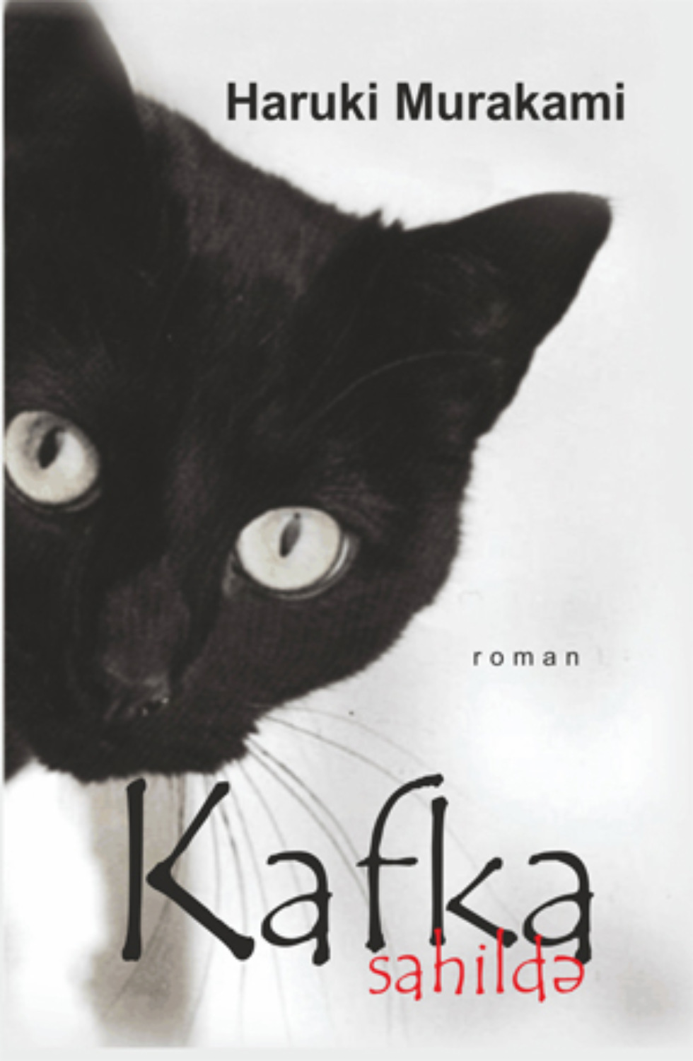 Обложка книги «Kafka Sahildə»