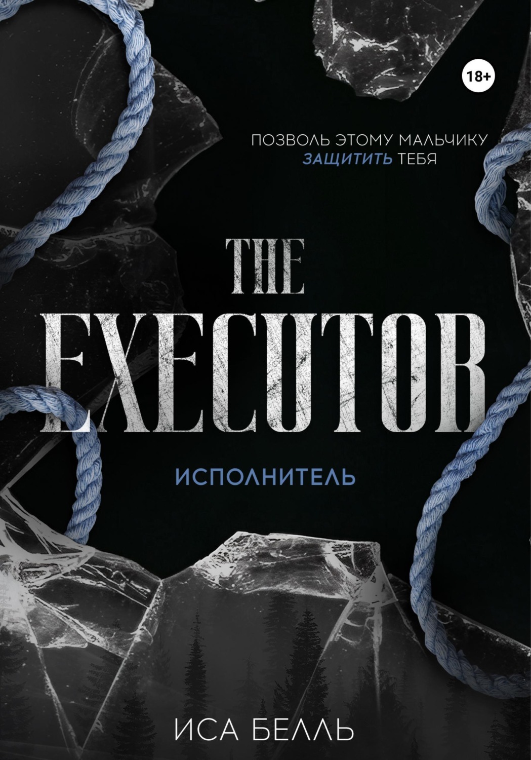 Обложка книги «Исполнитель»