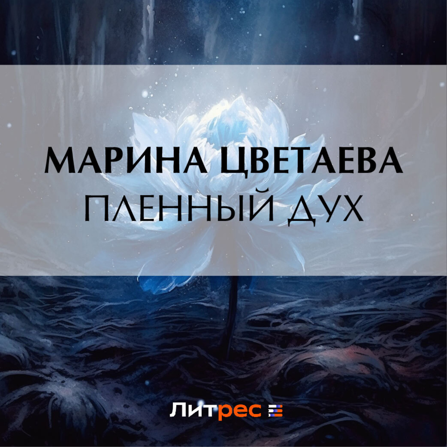 Обложка книги «Пленный дух»