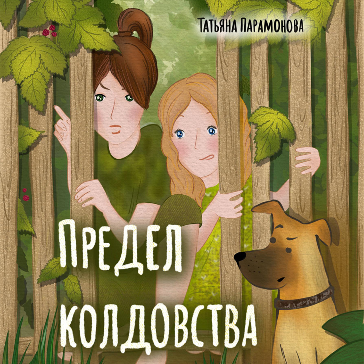 Обложка книги «Предел колдовства»