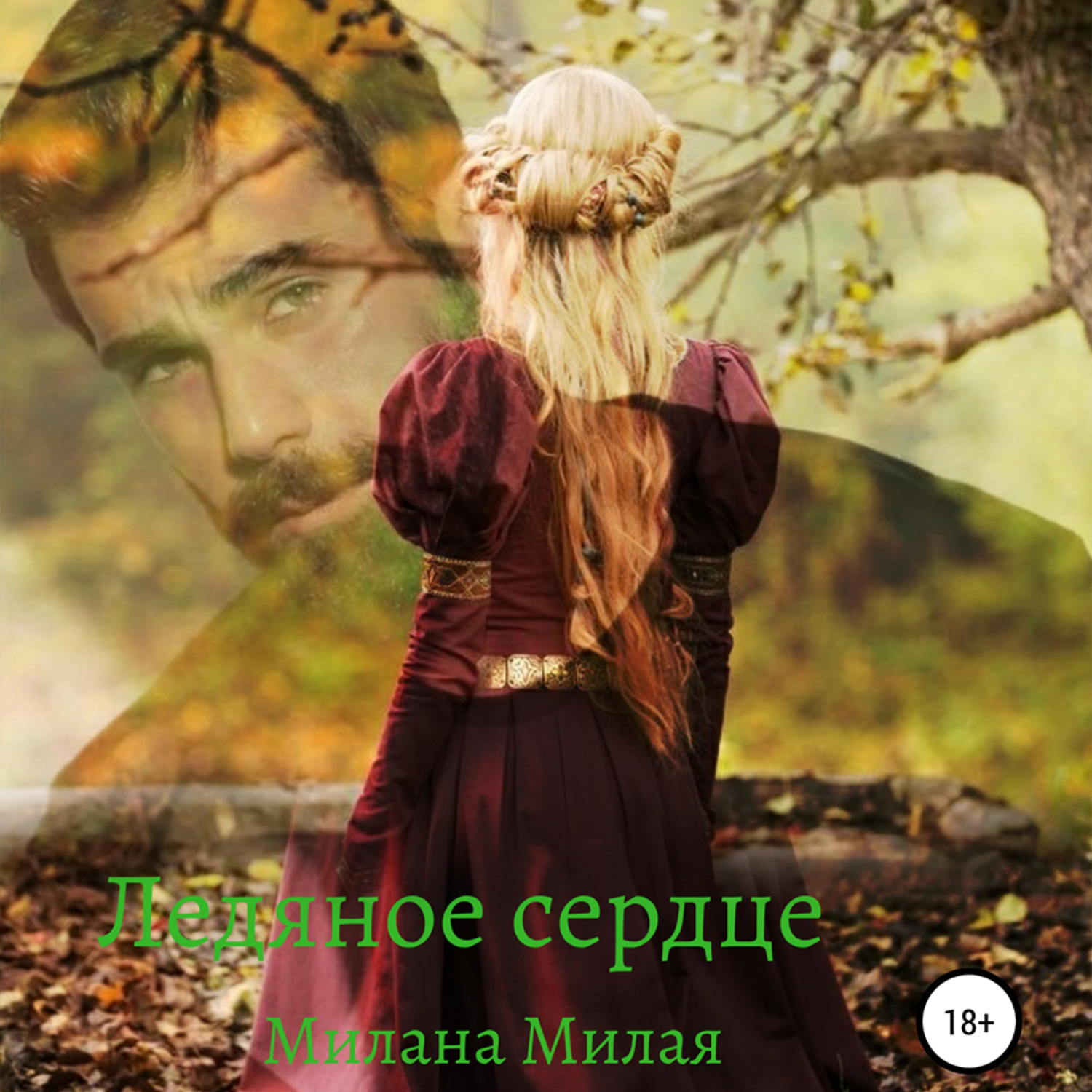 Обложка книги «Ледяное сердце»