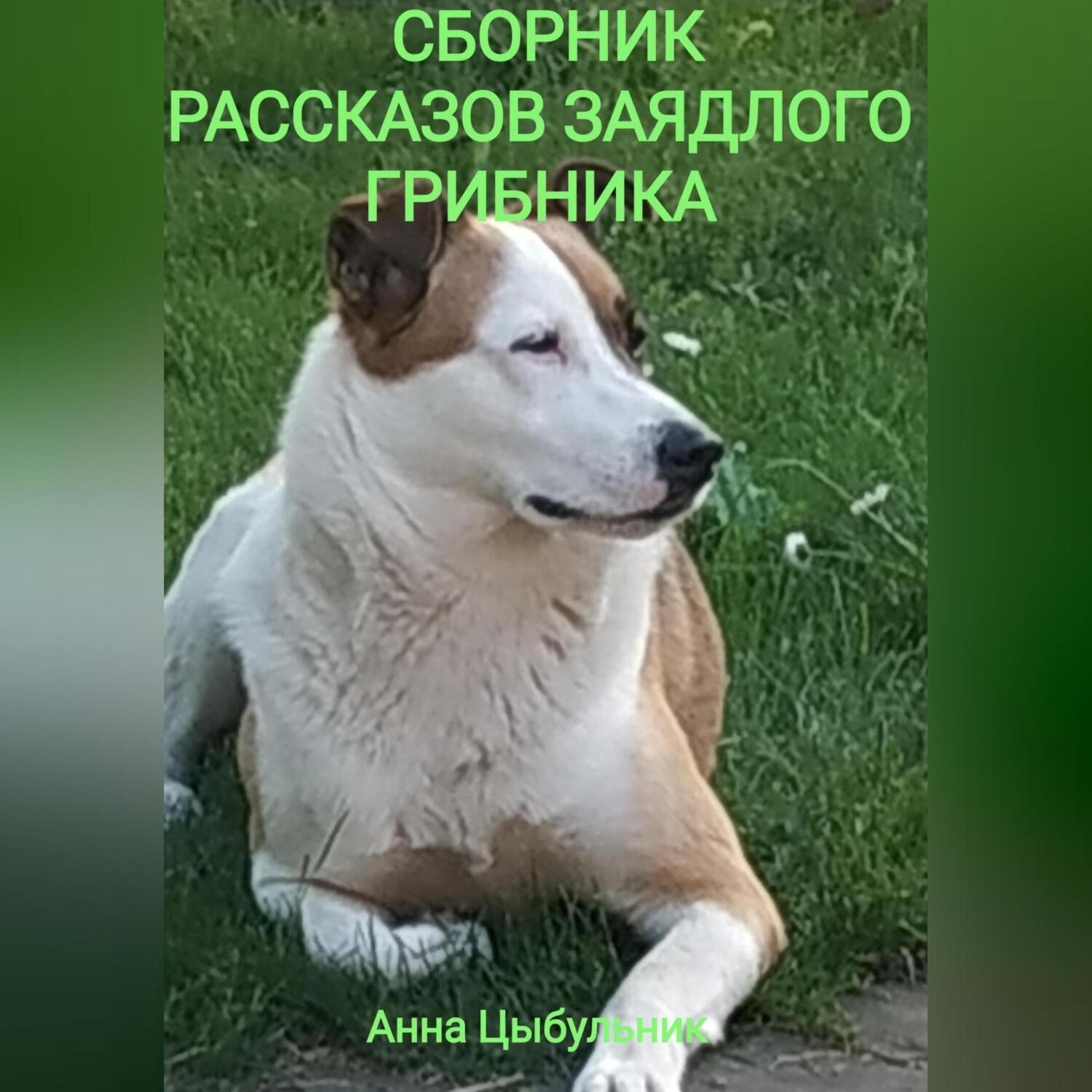 Обложка книги «Сборник рассказов заядлого грибника»