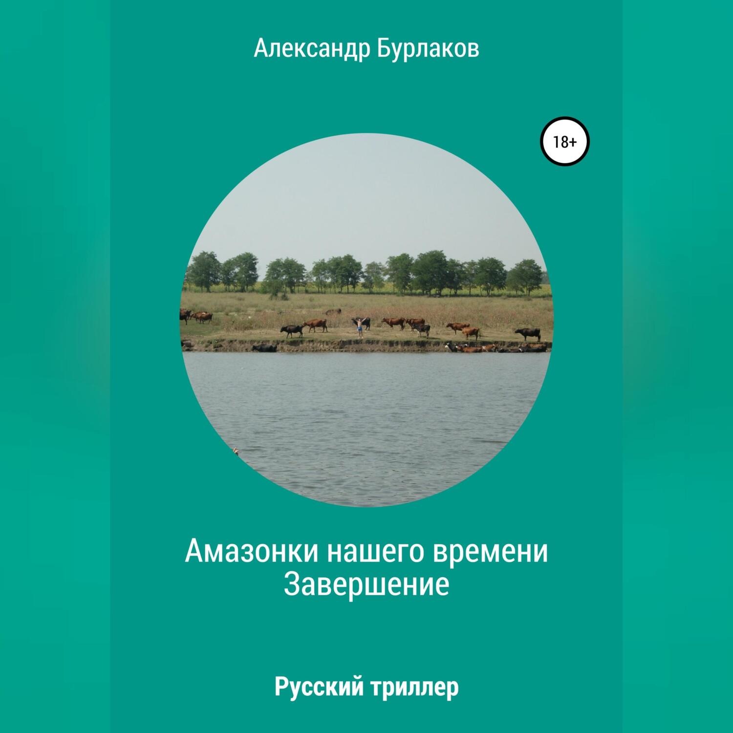 Обложка книги «Амазонки нашего времени. Завершение»