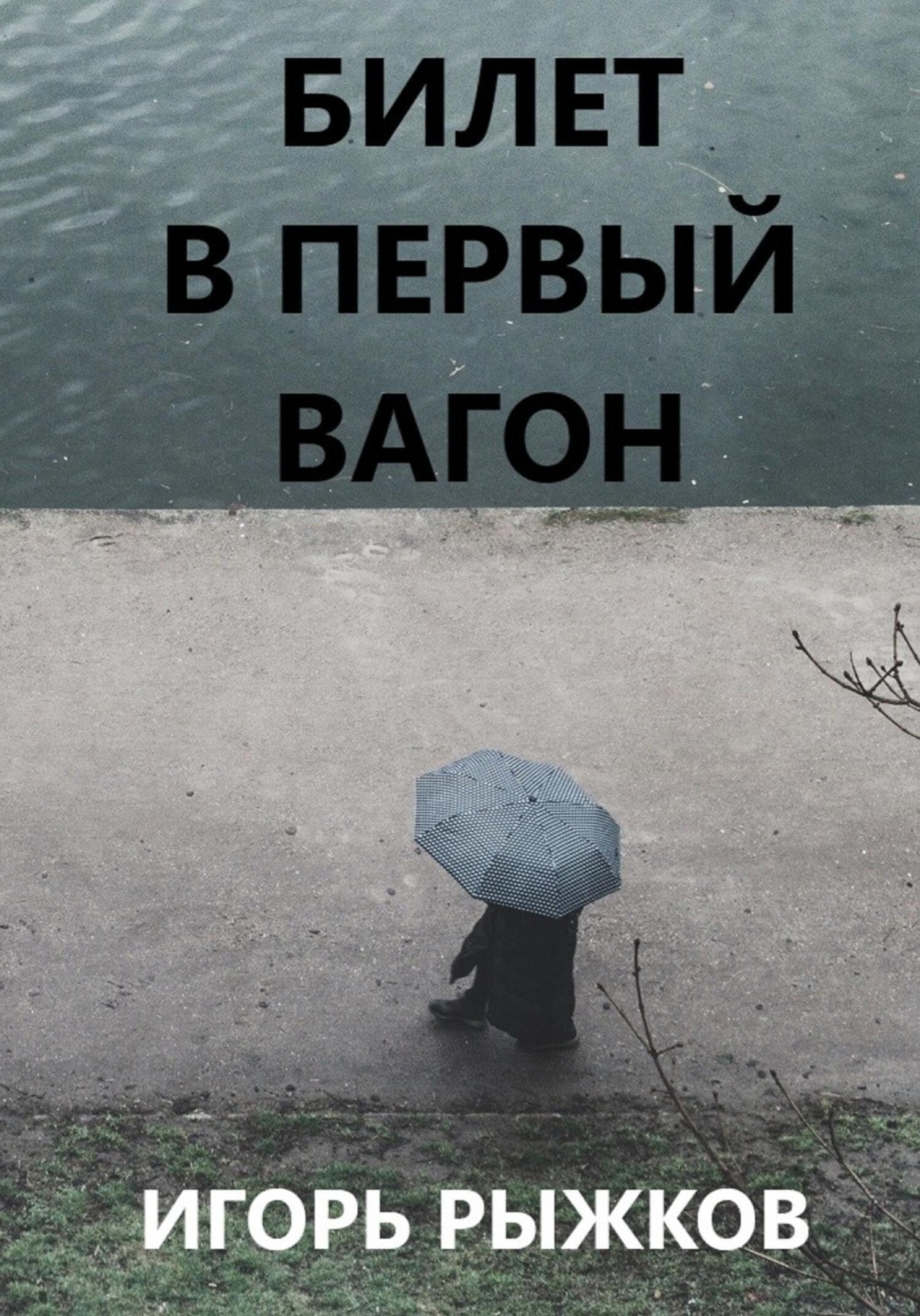 Обложка книги «Билет в первый вагон»