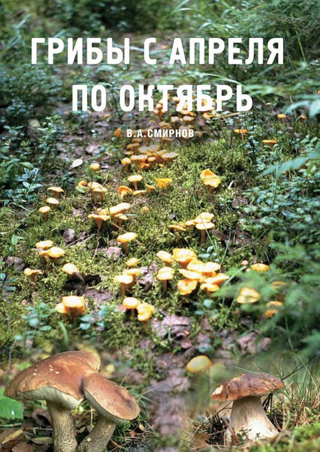 Обложка книги «Грибы с апреля по октябрь»