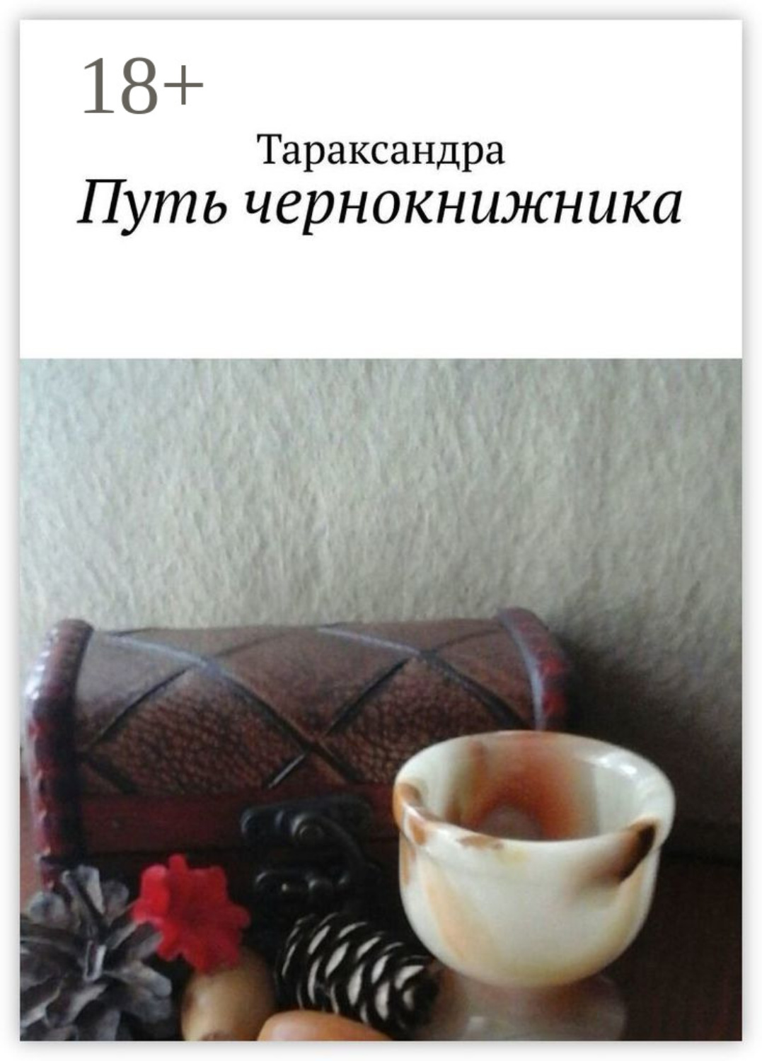 Обложка книги «Путь чернокнижника»