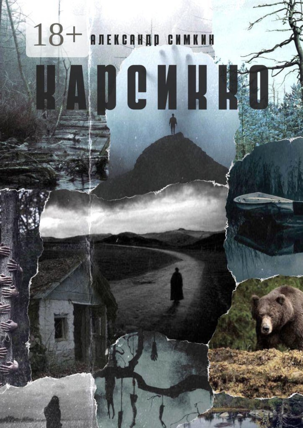 Обложка книги «Карсикко»