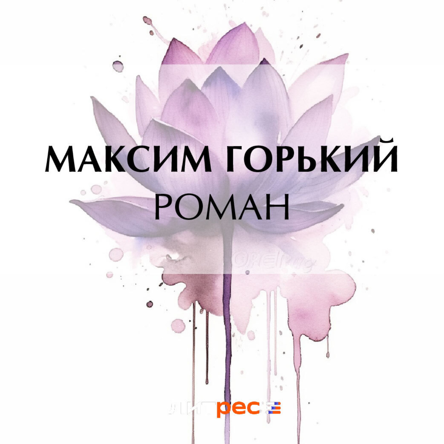 Обложка книги «Роман»