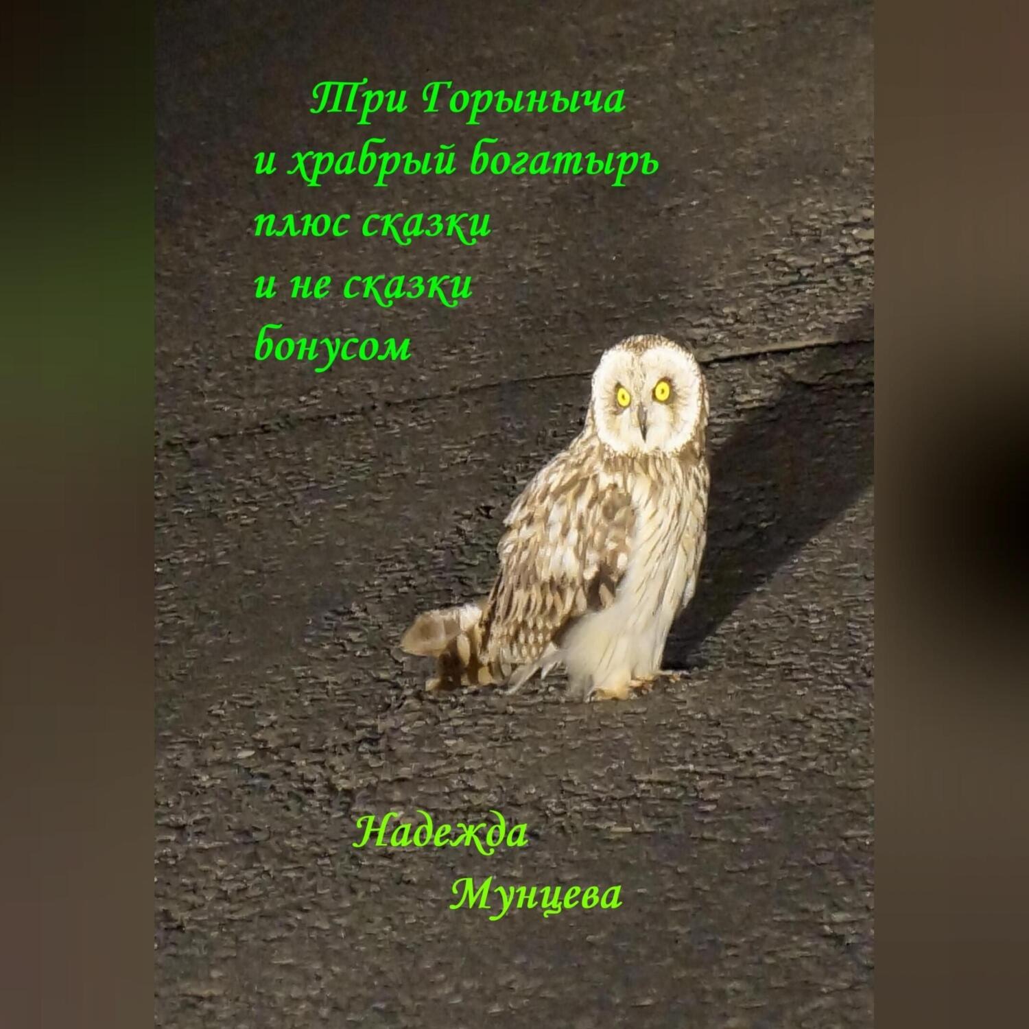 Обложка книги «Три Горыныча и храбрый богатырь плюс сказки и не сказки бонусом»